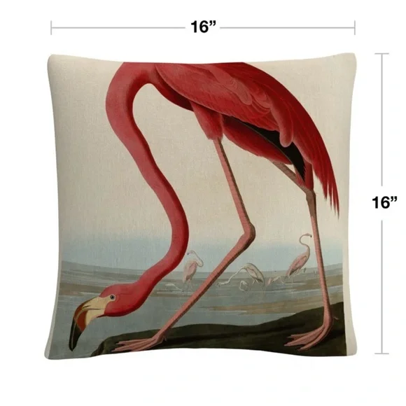 EUC Audubon Society Painting Print 16” x‎ 16” Home Decor Throw Pillows NWOT - Picture 4 of 4